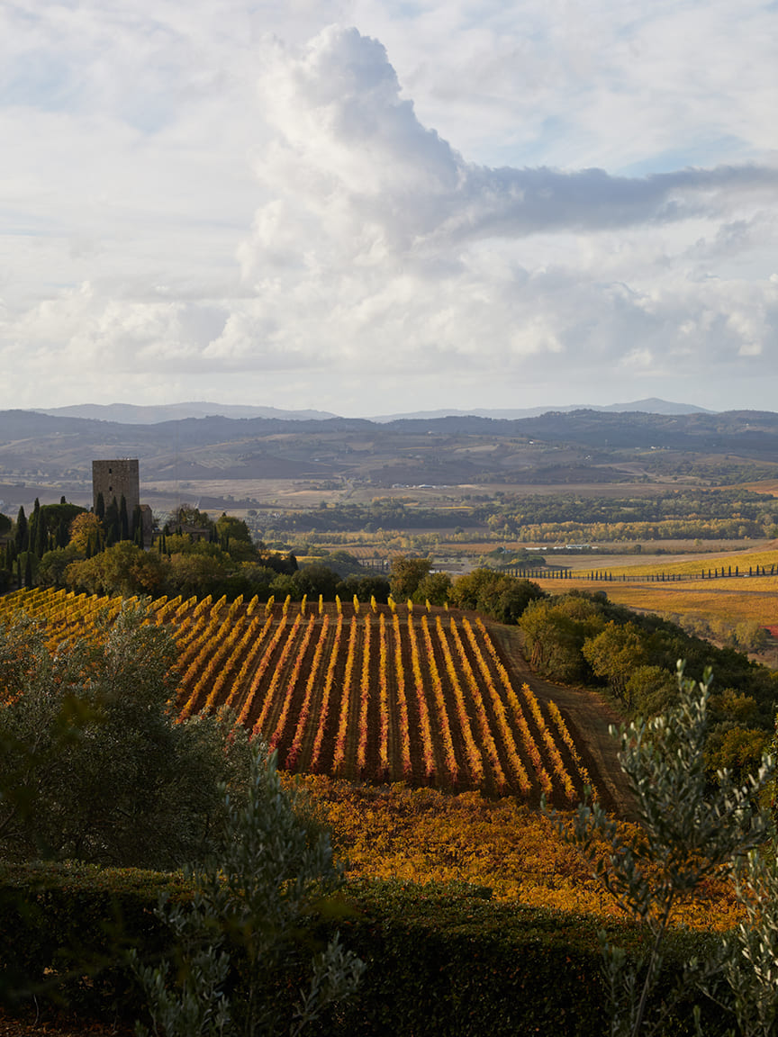 Argiano Wine Estate