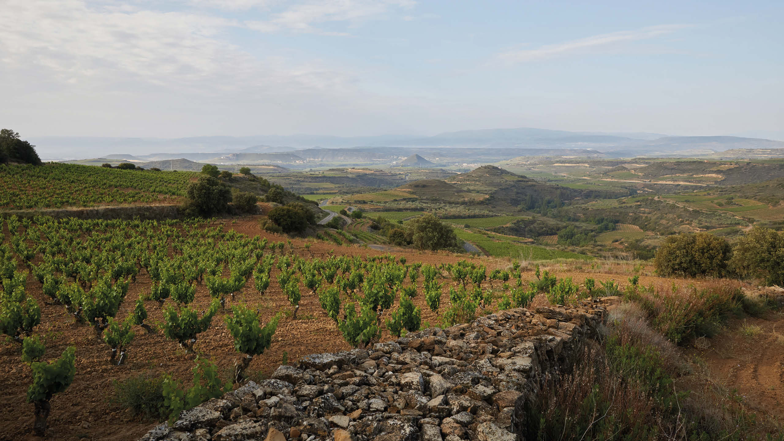 Wine Trails of Rioja by Maze Row