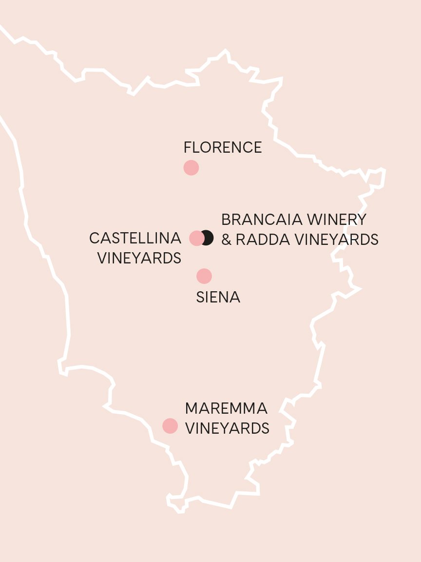 Brancaia Wine Maze Row Voices