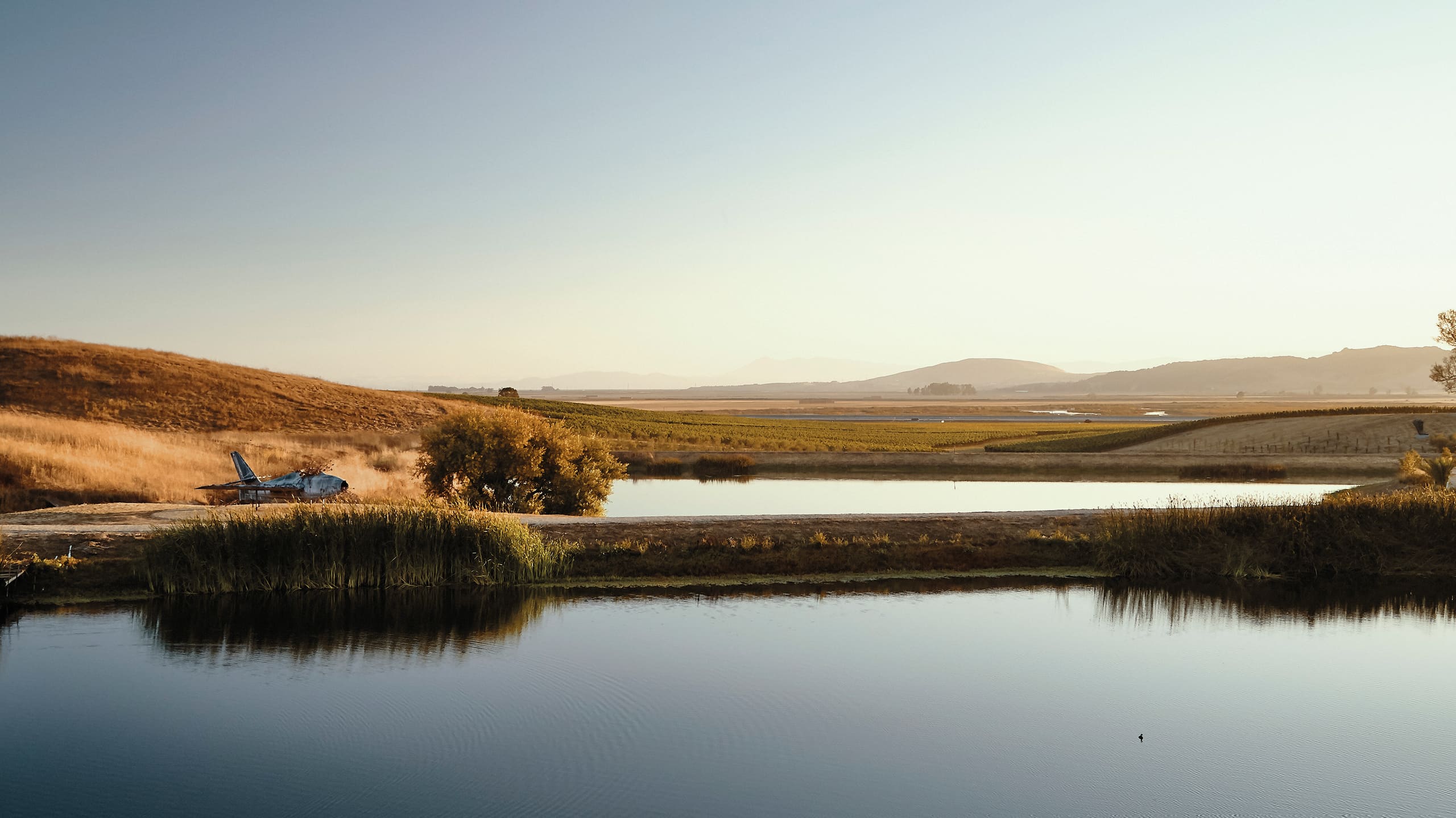 Donum Estate Winery California