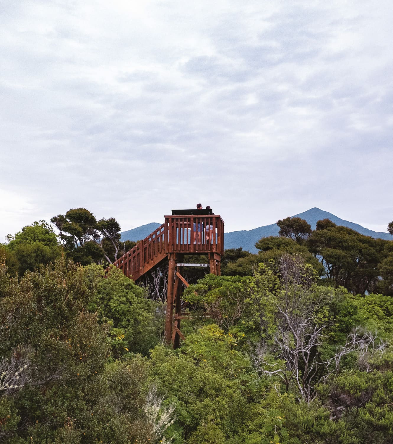 Food and wine in Marlborough New Zealand