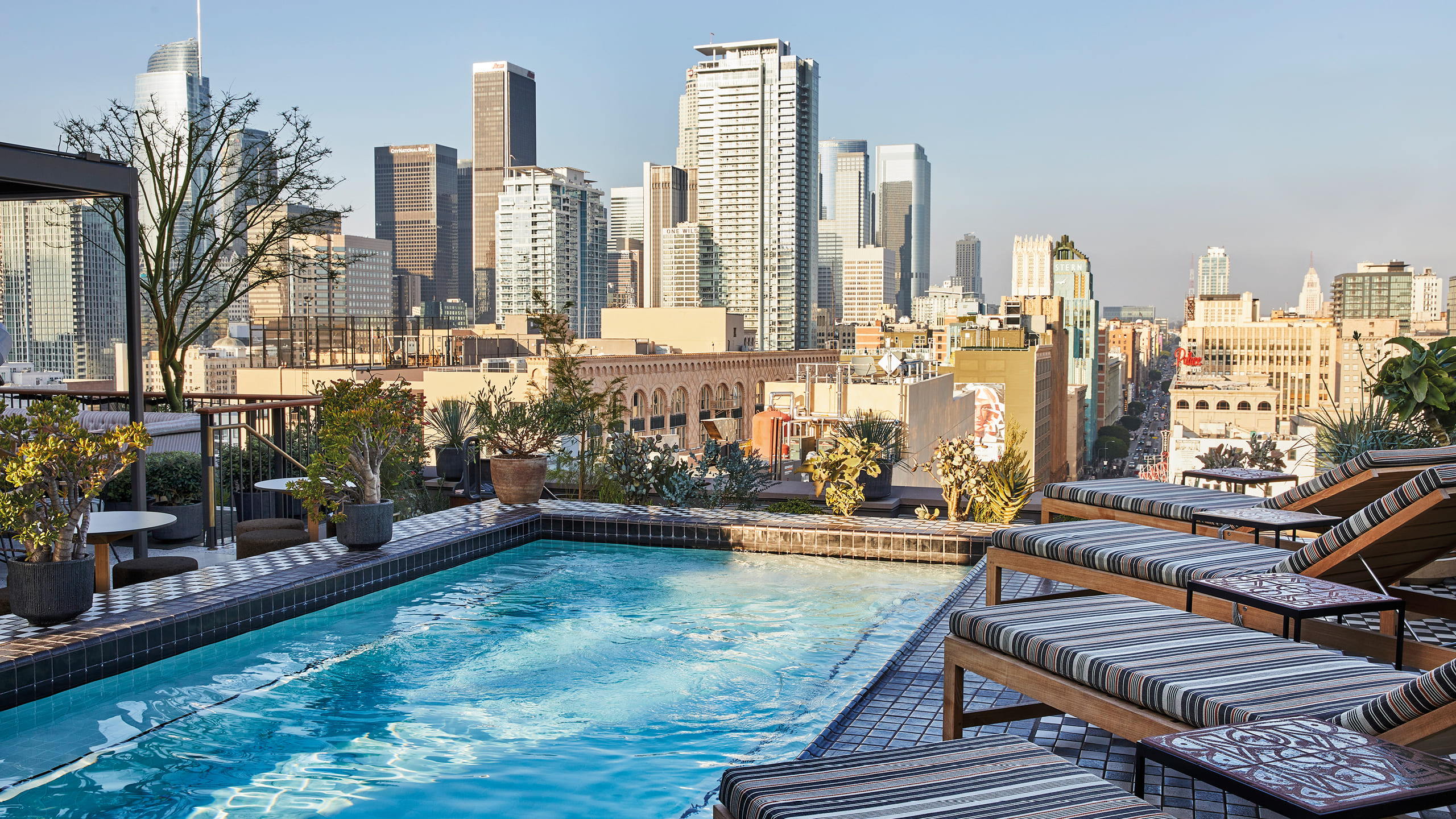 A culinary guide through Los Angeles for Maze Row Voices Downtown LA Proper Hotel Los Angeles pool in Maze Row Voices