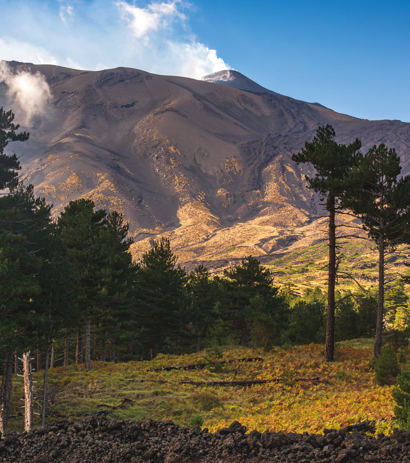Wines of Sicily from Mount Etna, a Maze Row Voices article