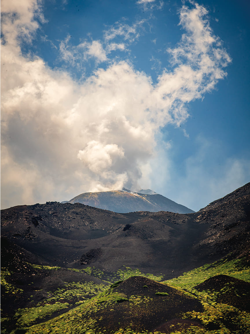 Wines of Sicily from Mount Etna, Maze Row Voices Wines of Sicily from Mount Etna, Voices