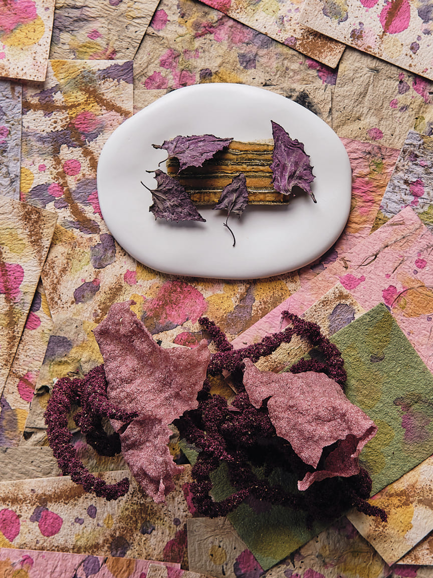 An article on Peru's culinary and wine renaissance in Maze Row Voices