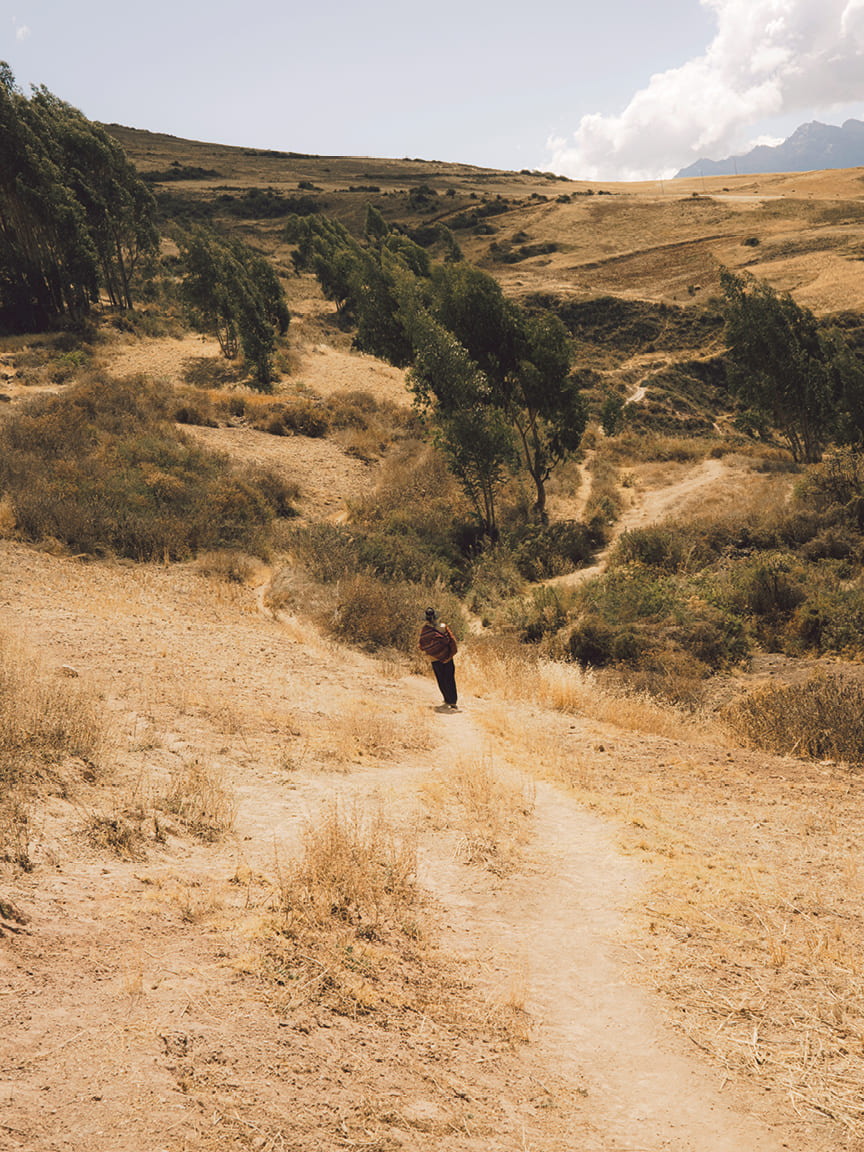 In Peru restaurant group MIL’s philosophy of foraging and rediscovering the hidden culinary riches of the Andes