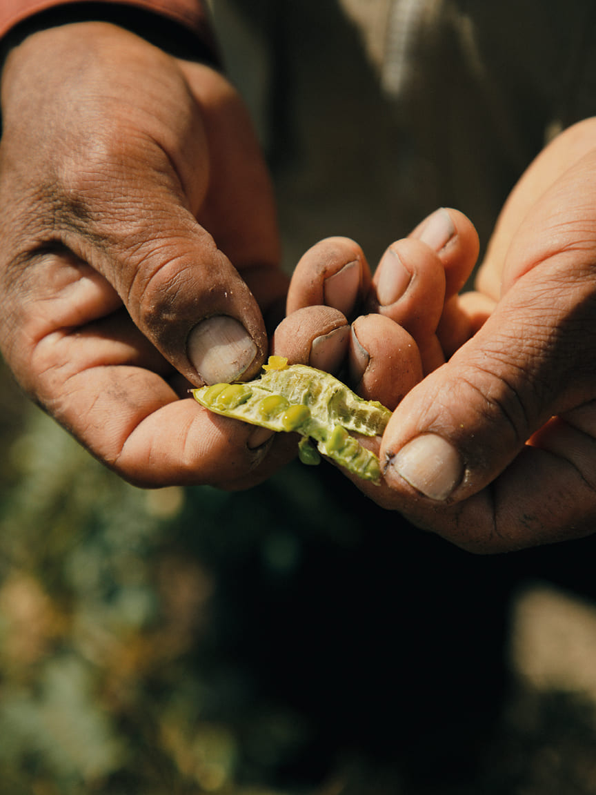 In Peru restaurant group MIL’s philosophy of foraging and rediscovering the hidden culinary riches of the Andes