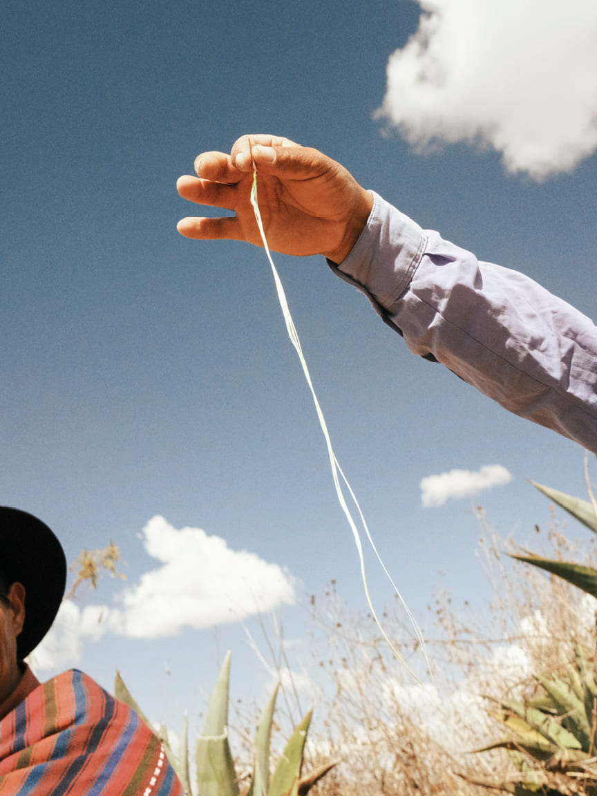 In Peru restaurant group MIL’s philosophy of foraging and rediscovering the hidden culinary riches of the Andes